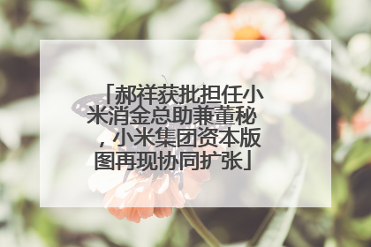 郝祥获批担任小米消金总助兼董秘，小米集团资本版图再现协同扩张